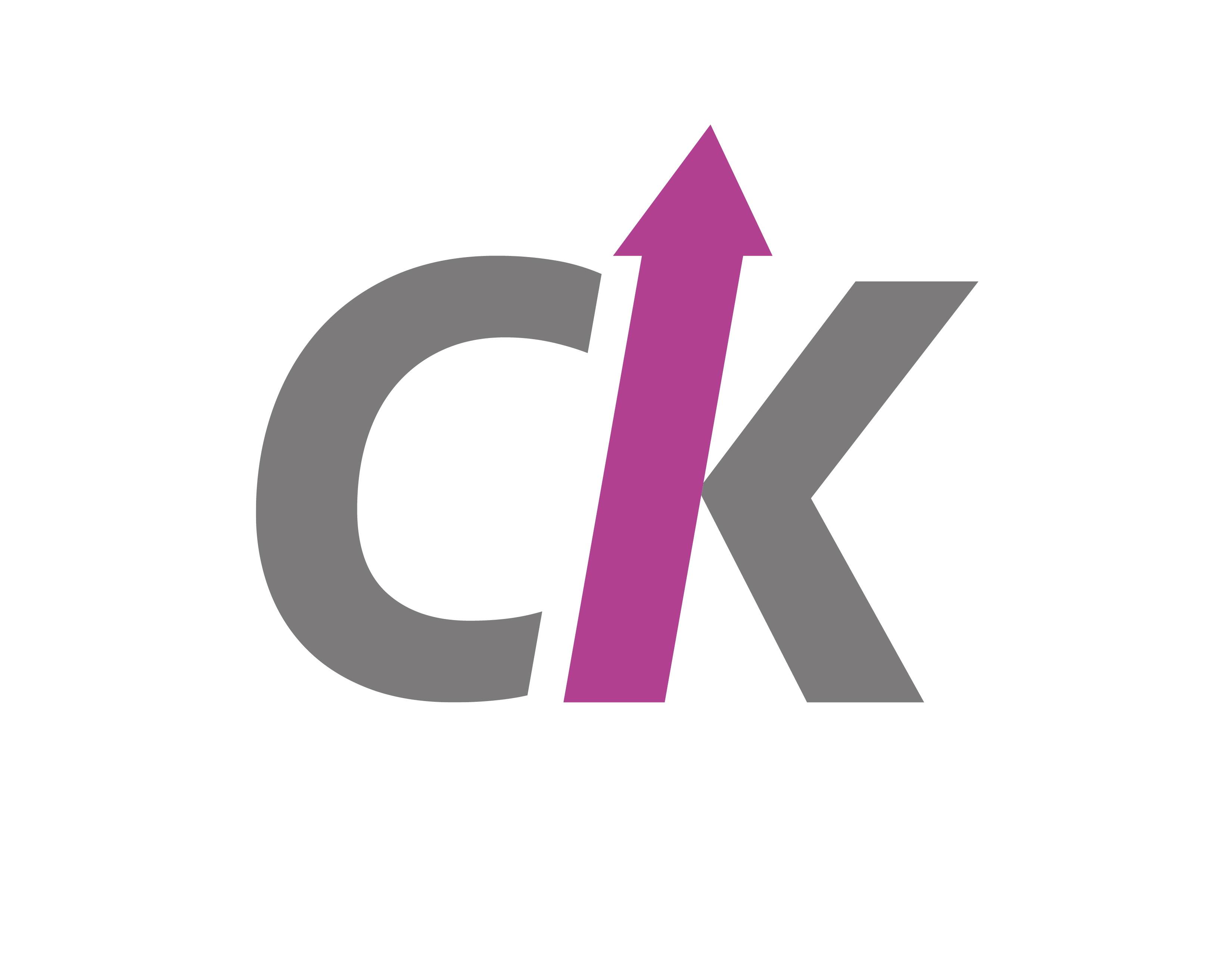 CK Venture Capital GmbH logo