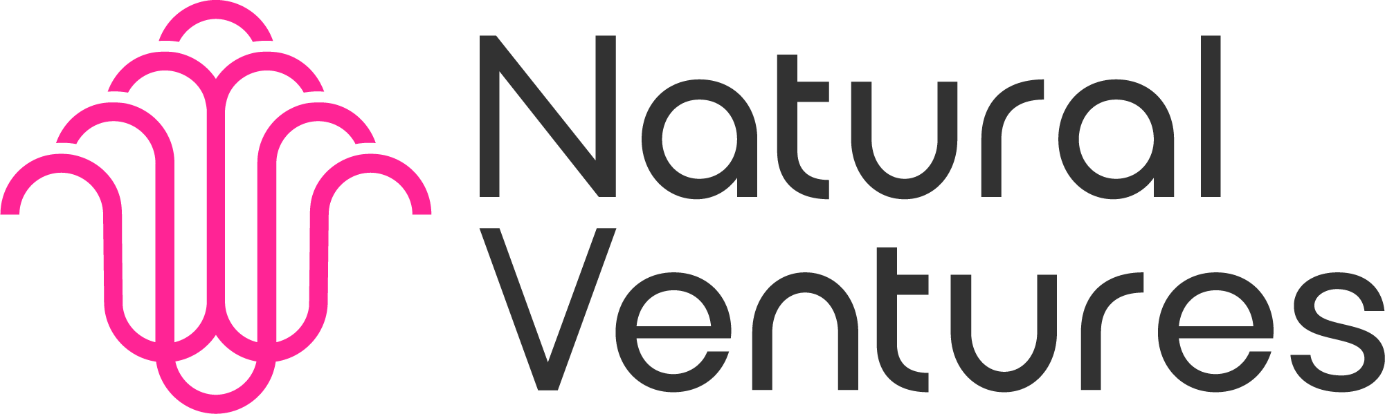 Natural Ventures logo